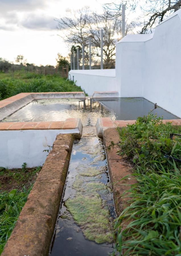 Bed and Breakfast Herdade Da Maridona Em Estremoz - Turismo Rural Gloria  Exteriér fotografie